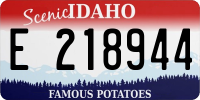 ID license plate E218944