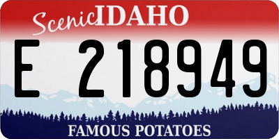 ID license plate E218949