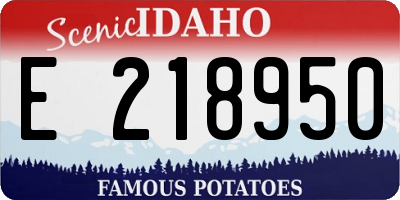 ID license plate E218950