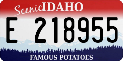 ID license plate E218955