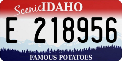 ID license plate E218956