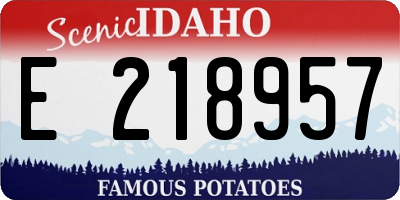ID license plate E218957