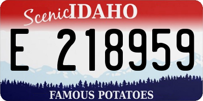 ID license plate E218959