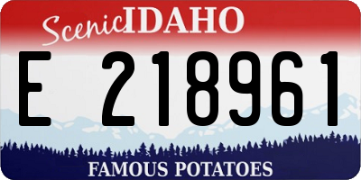 ID license plate E218961