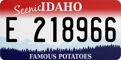 ID license plate E218966