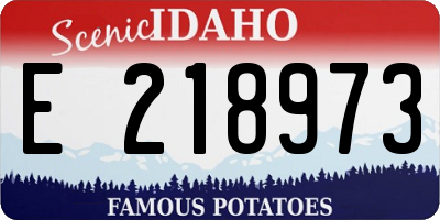 ID license plate E218973