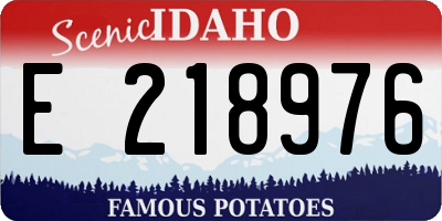 ID license plate E218976