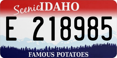 ID license plate E218985