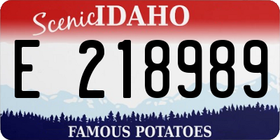 ID license plate E218989