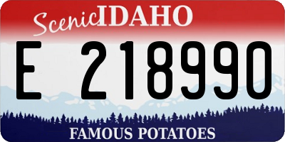 ID license plate E218990