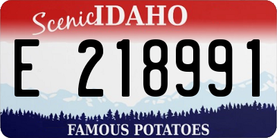 ID license plate E218991