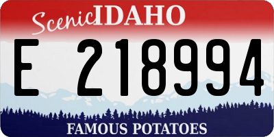 ID license plate E218994
