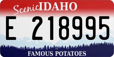 ID license plate E218995
