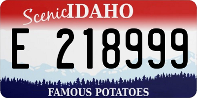 ID license plate E218999