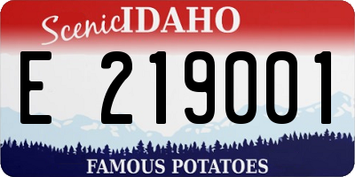 ID license plate E219001