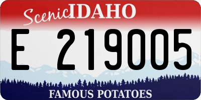 ID license plate E219005