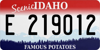 ID license plate E219012