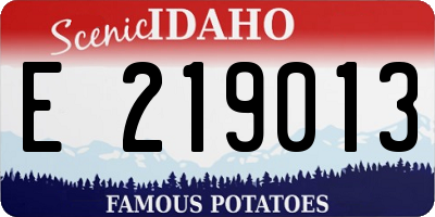 ID license plate E219013