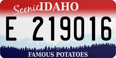 ID license plate E219016