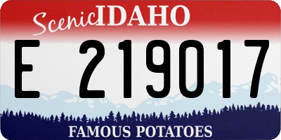 ID license plate E219017