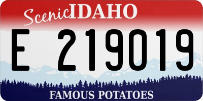 ID license plate E219019
