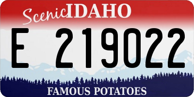 ID license plate E219022