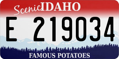 ID license plate E219034