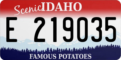 ID license plate E219035