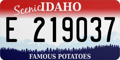 ID license plate E219037