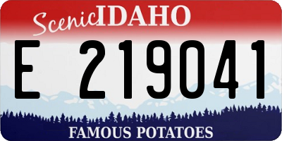 ID license plate E219041