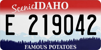 ID license plate E219042