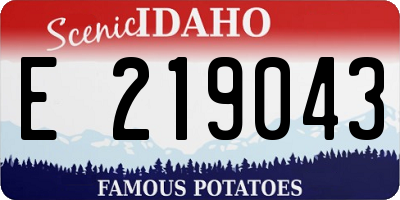 ID license plate E219043