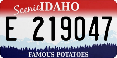 ID license plate E219047