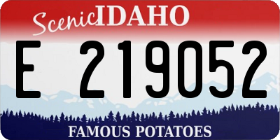 ID license plate E219052