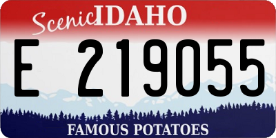 ID license plate E219055
