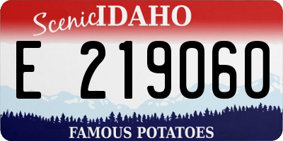 ID license plate E219060