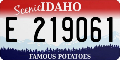 ID license plate E219061