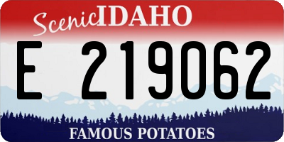 ID license plate E219062