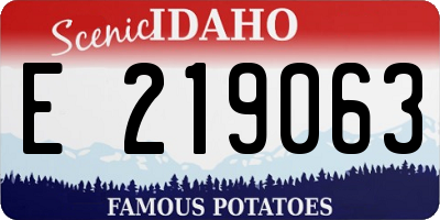 ID license plate E219063