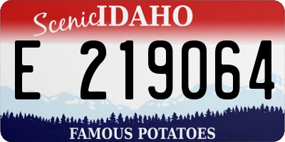 ID license plate E219064