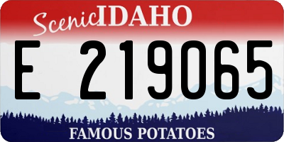 ID license plate E219065