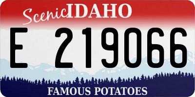 ID license plate E219066