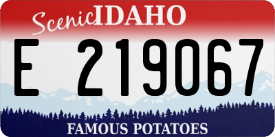 ID license plate E219067