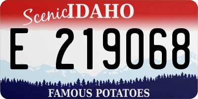 ID license plate E219068