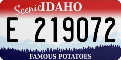 ID license plate E219072