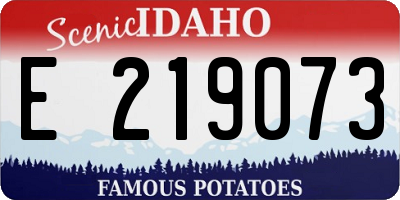 ID license plate E219073