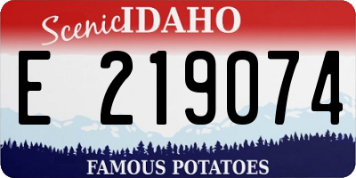 ID license plate E219074