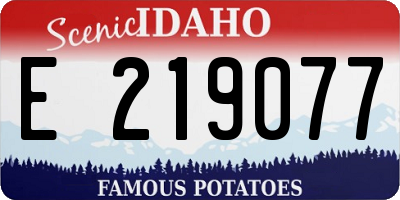 ID license plate E219077