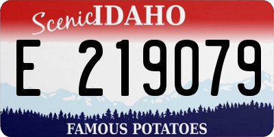 ID license plate E219079