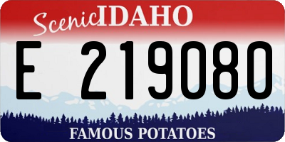 ID license plate E219080